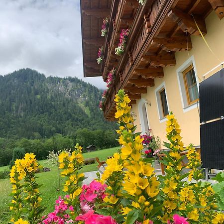 Alpen Appartements Oberlehengut Salzburger Land Werfenweng Exterior foto