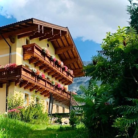 Alpen Appartements Oberlehengut Salzburger Land Werfenweng Exterior foto