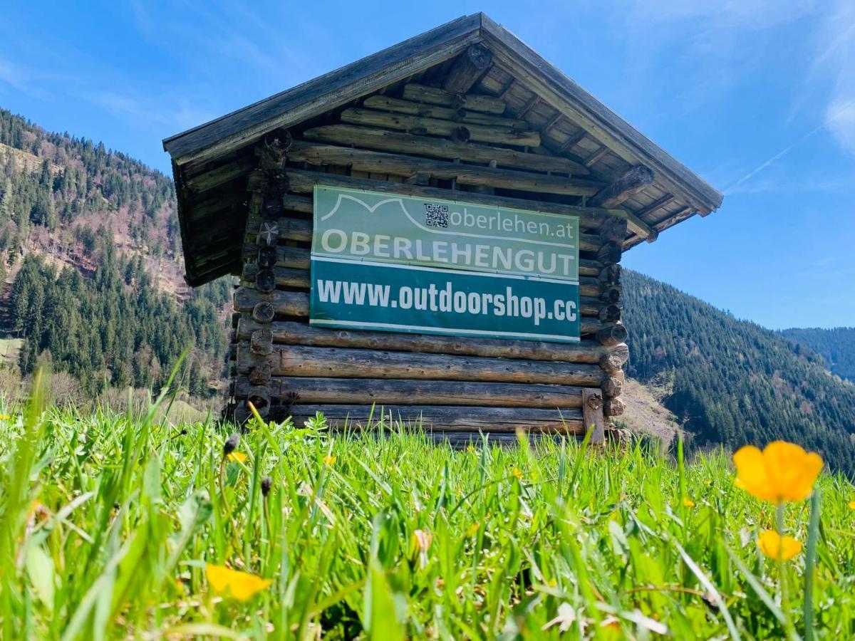 Alpen Appartements Oberlehengut Salzburger Land Werfenweng Exterior foto