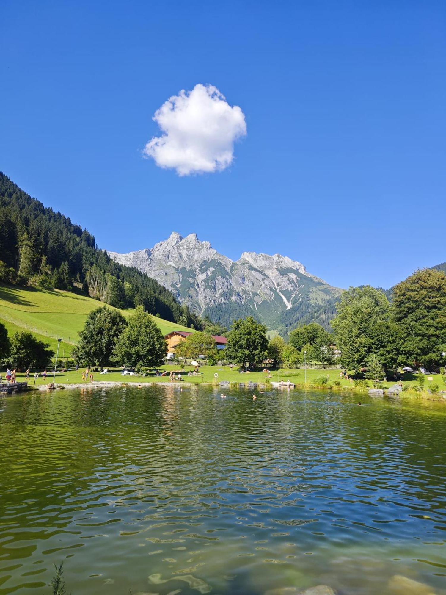 Alpen Appartements Oberlehengut Salzburger Land Werfenweng Exterior foto