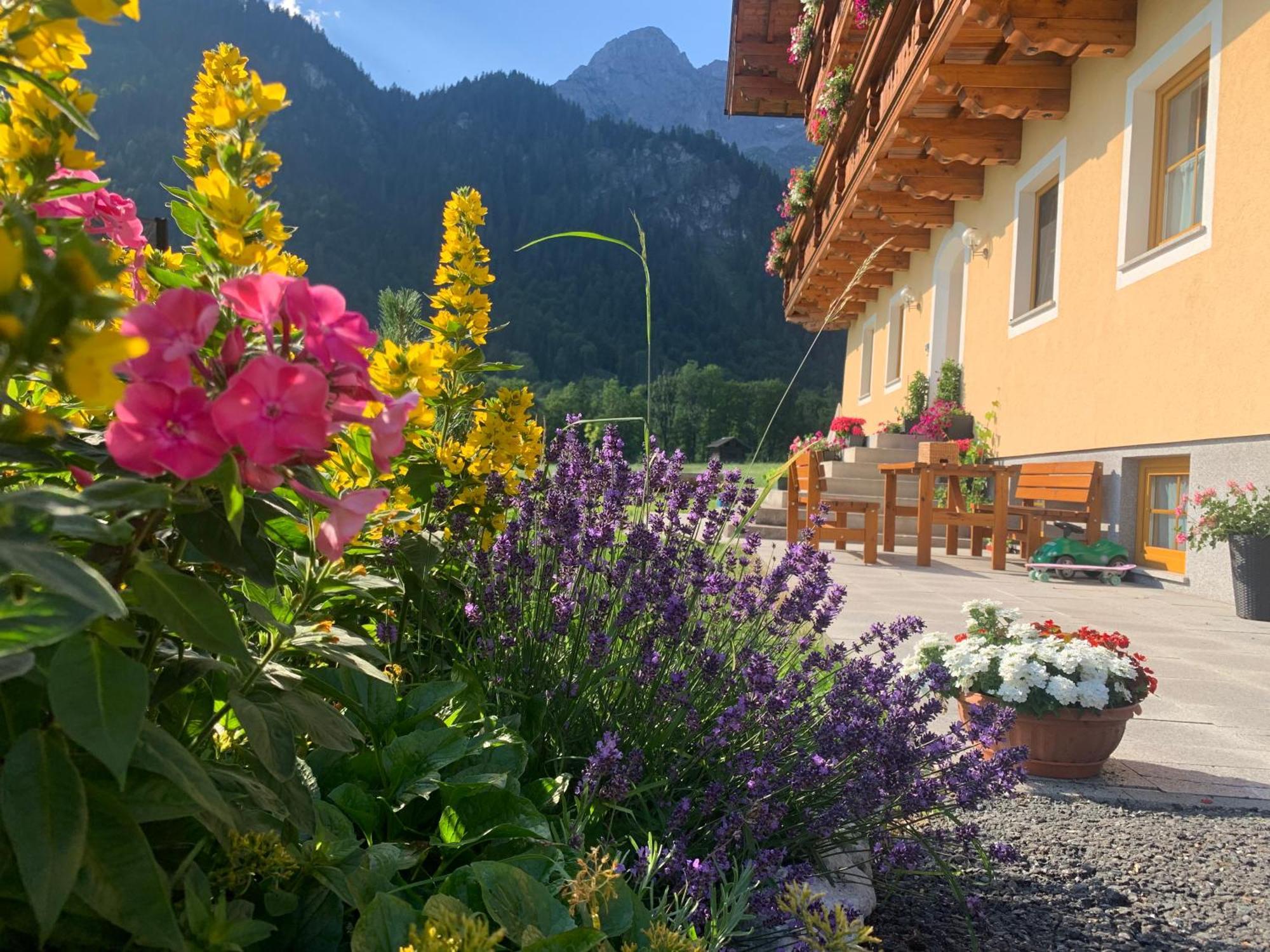 Alpen Appartements Oberlehengut Salzburger Land Werfenweng Exterior foto