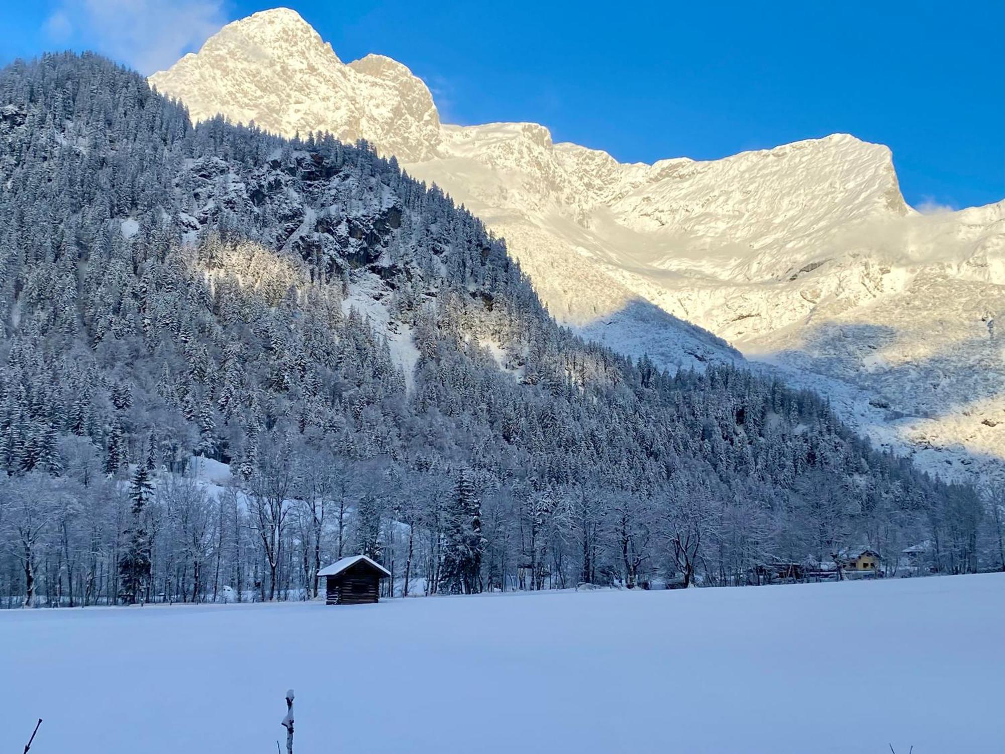 Alpen Appartements Oberlehengut Salzburger Land Werfenweng Exterior foto